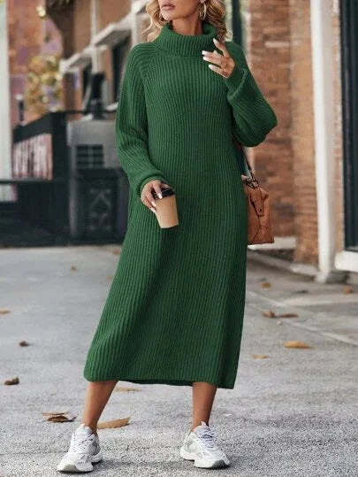 MARINA - RIBBED TURTLENECK DRESS